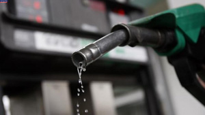 مصرف بنزین در فارس به بیش از ٩٤ میلیون لیتر رسید
