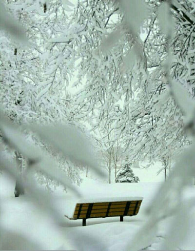 بارش برف در پارک ارم زنجان