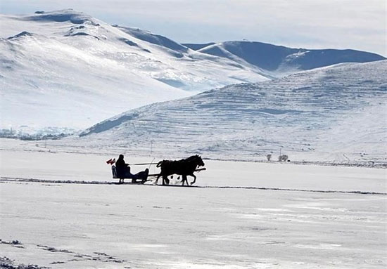 درشکه‌سواری روی دریاچه یخ‌زده در ترکیه
