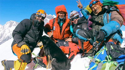 صعود یک سگ به قله ۷ هزار متری خبرساز شد!