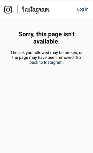 اینستاگرام، صفحه سردار سلیمانی را مسدود کرد