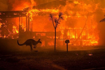آتش سوزی در استرالیا دامن نیوزیلند را هم گرفت