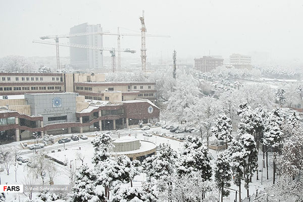 برف تهران را سفیدپوش کرد