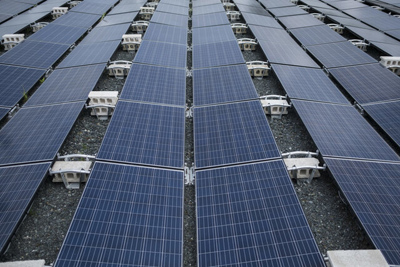 راه‌اندازی بزرگترین مزرعه خورشیدی خصوصی در چین