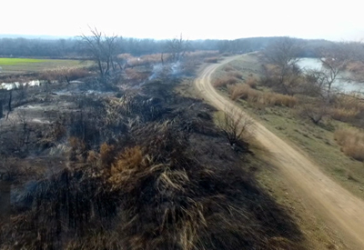 آتش‌سوزی 25 هزار هکتار از جنگل‌های حاشیه رود ارس