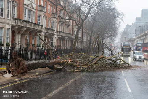 تصاویر: سیل و طوفان در اروپا