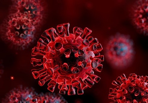 آیا ویروس کرونا ۲ منشأ متفاوت دارد؟!