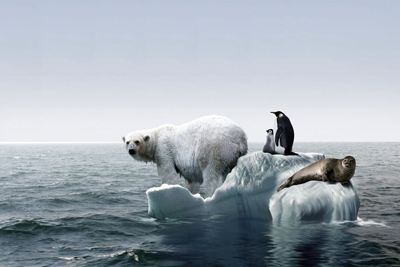 سرعت گرم شدن قطب جنوب، ۵ برابر میانگین جهانی