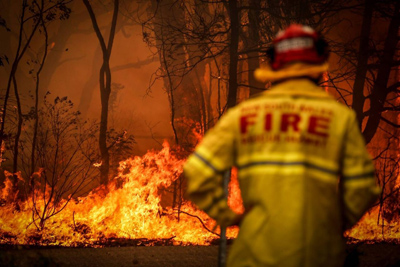 آتش، یک پنجم از جنگل‌های استرالیا را سوزاند