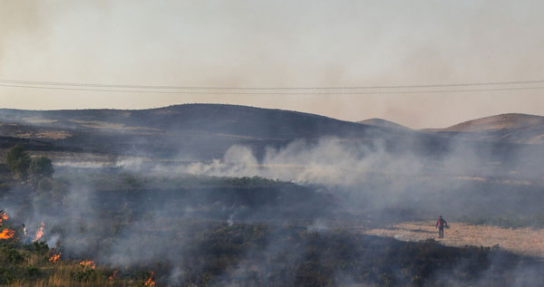 مهار آتش‌سوزی در مزارع تاکستان