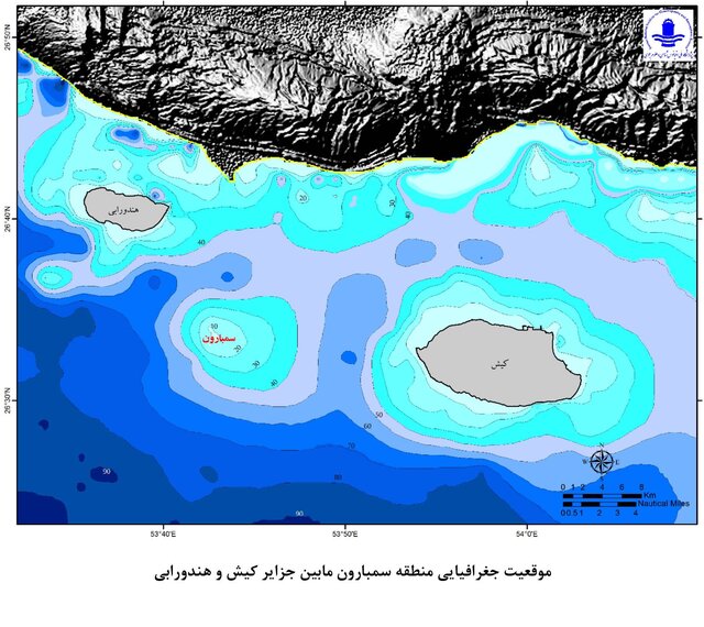 مشاهده 2 گونه نادر از مرجان‌های سخت در خلیج فارس