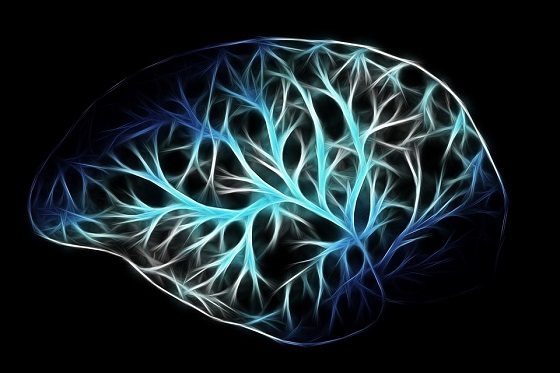رمزگشایی مغز به منظور کمک به بیماران روانی