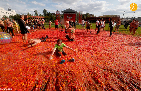 نابودی ۲۰ تُن گوجه فرنگی در یک جشن!