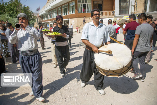 جشنواره میوه های بهشتی در دالاهو کرمانشاه