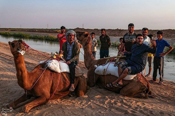 ماراتن شترسواری در خوزستان