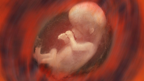 استان تهران رکورددار سقط جنین در کشور