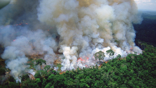 تداوم آتش‌سوزی‌های جنگلی از آمازون تا اندونزی