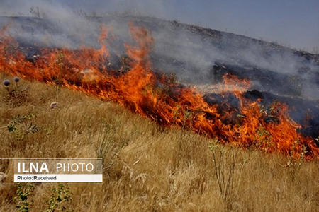 24 هکتار از مراتع دالاهو در آتش سوخت