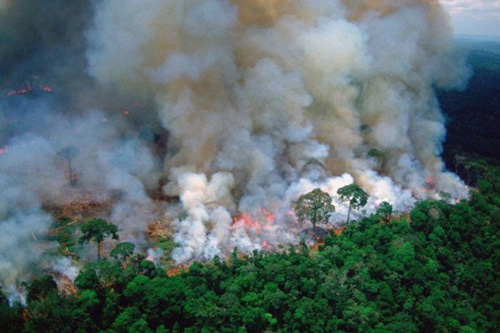 برزیل کمک جی۷ برای اطفاء حریق جنگل‌های آمازون را رد کرد