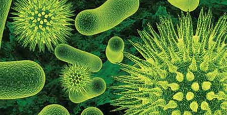 نابودی باکتری‌های مضر با سلاح باکتریایی