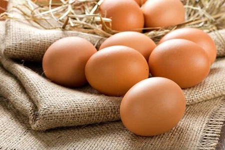 فائو کشورهای آفریقایی را ملزم به مصرف تخم مرغ کرد