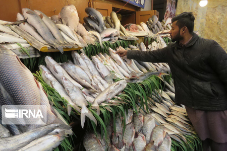 ساندویج ماهی در راه مدارس مازندران