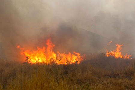 آتش‌سوزی در مراتع طارم