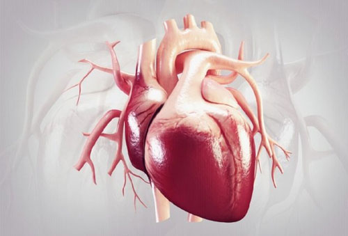 دپوی بیش از ۸هزار باطری قلب در کشور