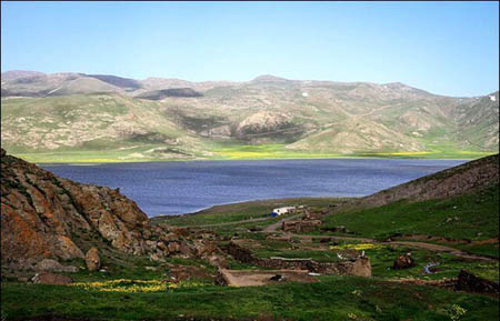 ماهی کاراس تهدید جدی دریاچه نئور اردبیل