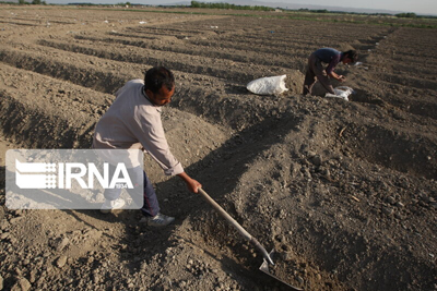 ایران رتبه اول فرسایش خاک در جهان را دارد