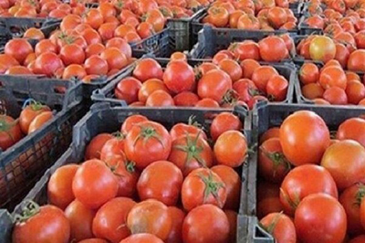 کاهش ۲۰۰۰تومانی نرخ گوجه فرنگی