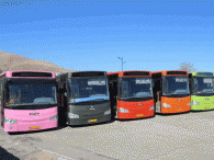 نوسازی اتوبوس های ناوگان حمل ونقل دورن شهری سنندج