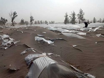 دفن دسترنج کشاورزان جازموریان در طوفان شن
