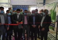 راه اندازی کارخانه تولید باتری در کرمان