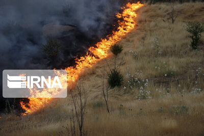 سوزاندن پسماند مزارع به خاک آسیب وارد می کند