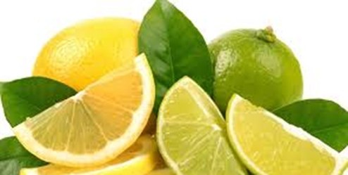 اختلاف دو وزارتخانه این بار در واردات «لیمو»