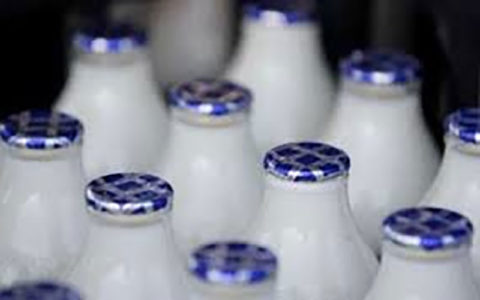 کاهش شدید سرانه مصرف شیر در کشور
