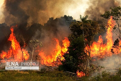 تداوم آتش‌سوزی در جنگل‌های پاوه
