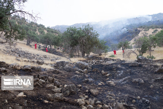 آتش‌سوزی در کوه‌های گیسکان بوشهر