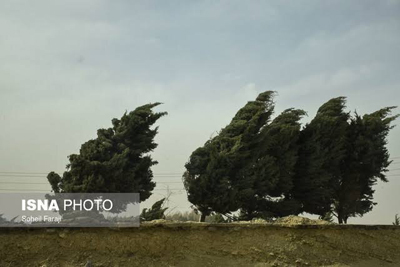 وزش باد شدید در ۱۵ استان
