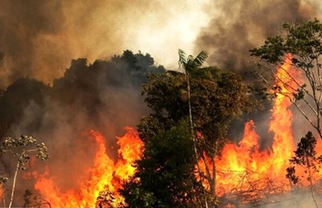 آتش‌ بی امان بر جان جنگل‌های پاوه