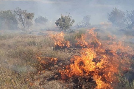 دستگیری عاملان آتش‌سوزی مراتع کوهدشت