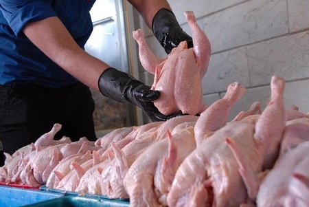 تکذیب افزایش قیمت مرغ در ماه محرم