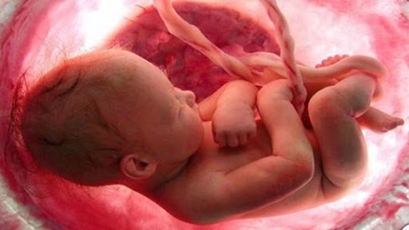 تدوین قانون جلوگیری از سقط جنین غیرقانونی