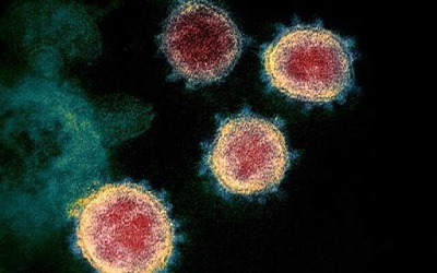 چرا کرونا مانند آنفلوآنزا یک ویروس فصلی نیست؟