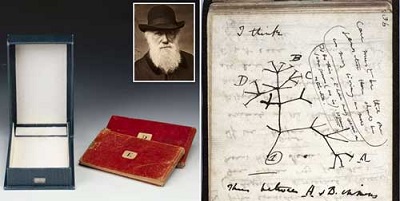 کتاب‌های میلیون دلاری داروین گم شدند!