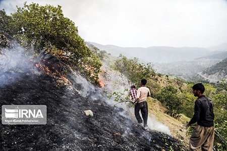 آتش‌سوزی در جنگل‌های بلوط کردستان