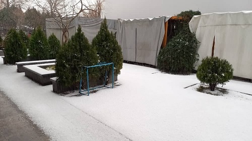 برف شمال تهران را سفیدپوش کرد