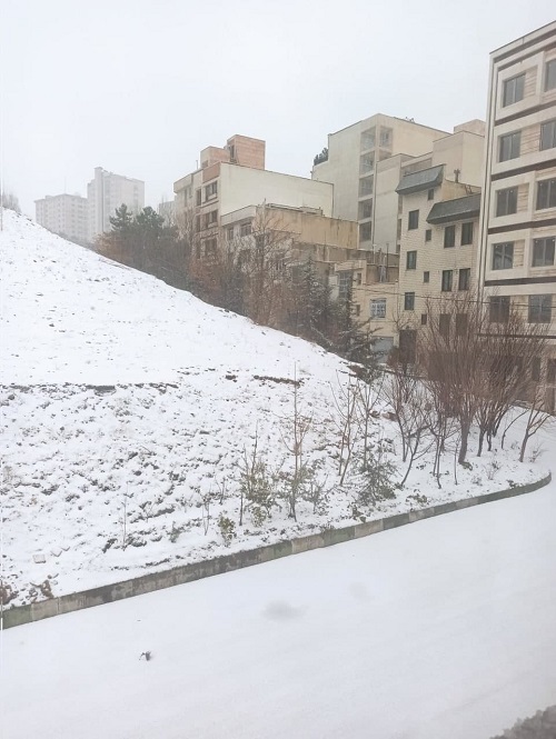 برف شمال تهران را سفیدپوش کرد