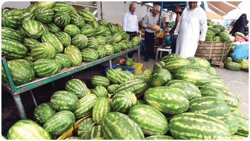 هندوانه به قیمت امارات!